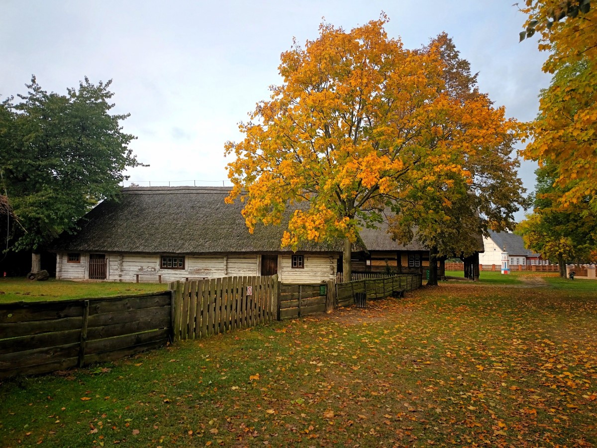 Wielkopolski Park Etnograficzny 