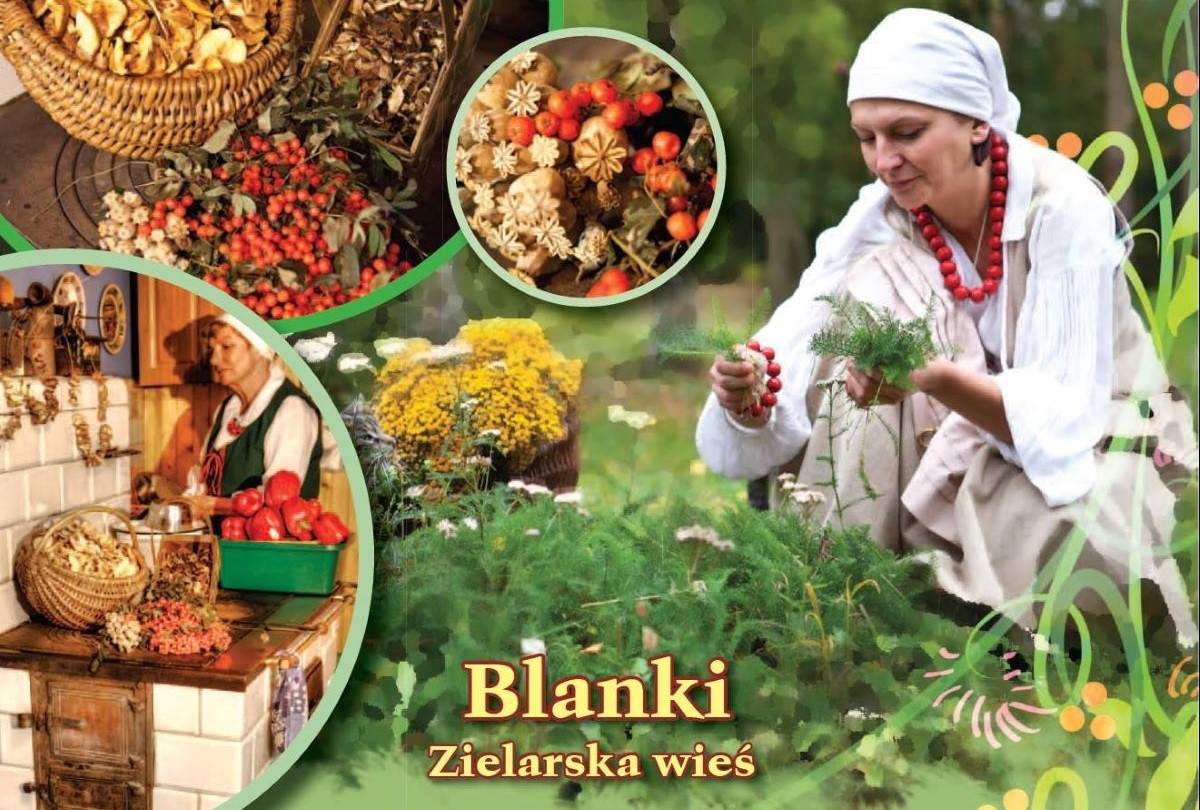 Blanki - Zielarska Wioska